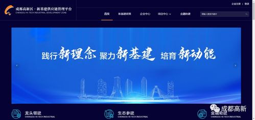 成都高新区公众信息网新版上线 功能多样化，信息一站全览，助力网络与信息安全软件开发