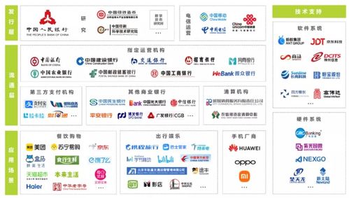 网络安全软件开发 构建数字时代的坚固防线